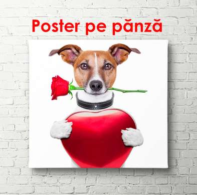 Постер - Собачка с розой и сердечком, 100 x 100 см, Постер в раме, Минимализм