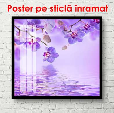 Постер - Фиолетовая орхидея с бабочками на фиолетовом фоне, 100 x 100 см, Постер в раме, Цветы