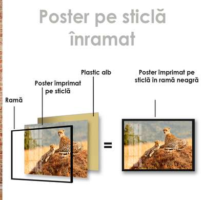 Poster, Gheparzi grațioși, 45 x 30 см, Panza pe cadru, Animale