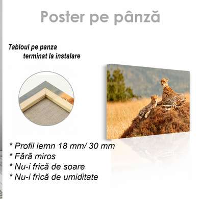 Poster, Gheparzi grațioși, 45 x 30 см, Panza pe cadru, Animale