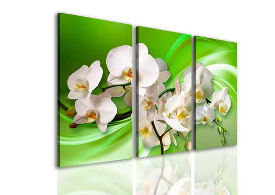 Модульная картина, Белая орхидея на зеленом фоне., 70 x 50