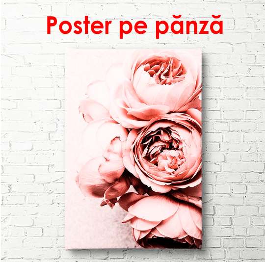 Poster - Bujori roz pal, 30 x 60 см, Panza pe cadru