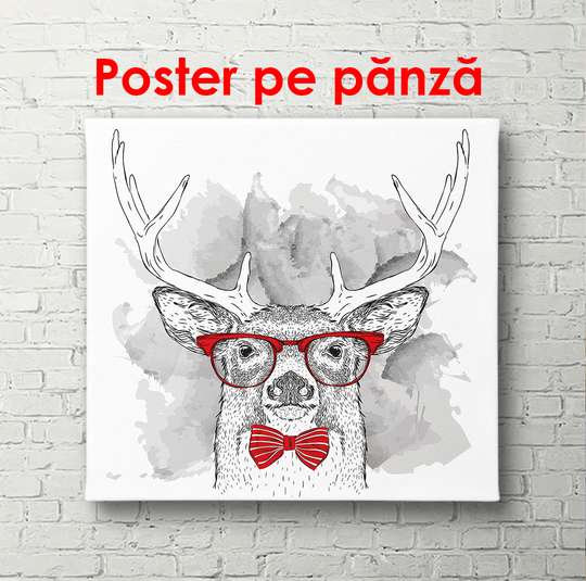 Poster - Deer in red glasses, 100 x 100 см, Framed poster