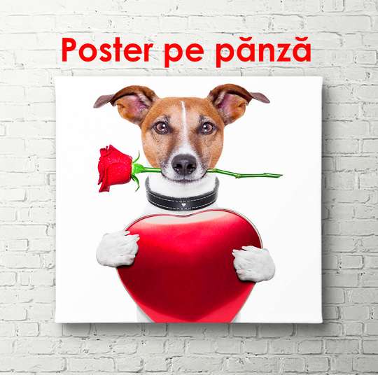 Постер - Собачка с розой и сердечком, 100 x 100 см, Постер в раме