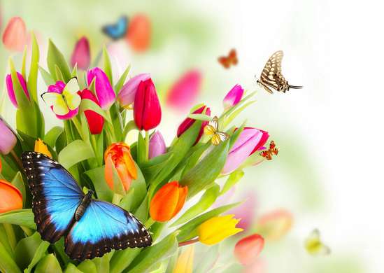 Fototapet - Un buchet de lalele și fluturii multicolori