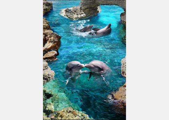 Fototapet - Delfini în apă