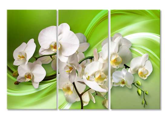 Tablou Pe Panza Multicanvas, Orhidee albă pe un fundal verde.