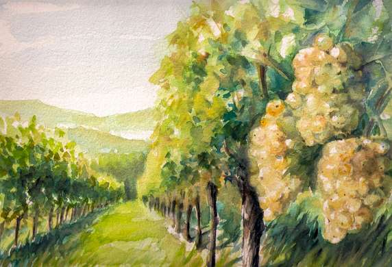 Poster - Grape field, 45 x 30 см, Canvas on frame