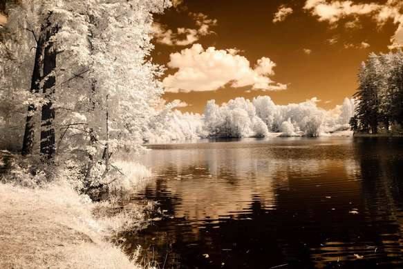 Wall Mural - Winter landscape by the lake