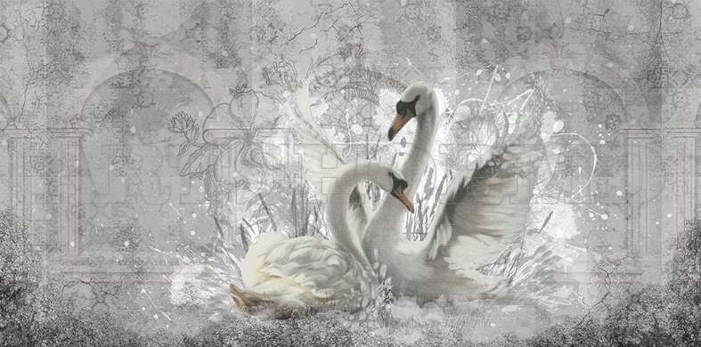 Wall mural - Swans on gray background