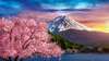 Modular picture, The mountain and pink sakura, 206 x 115