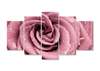 Модульная картина, Розовая роза., 108 х 60