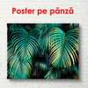 Poster - Frunze de palmier la tropice, 90 x 60 см, Poster înrămat, Botanică