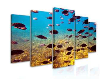 Modular picture, Fish under water, 108 х 60