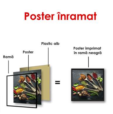 Poster - Various spices, 40 x 40 см, Canvas on frame