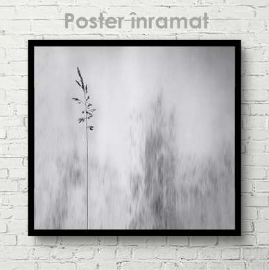 Poster - Gray nature, 100 x 100 см, Framed poster on glass