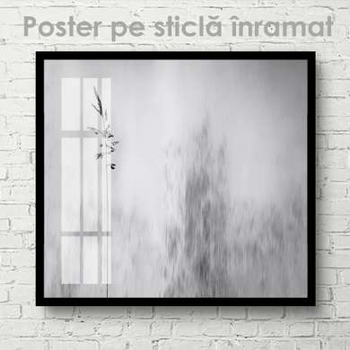 Poster - Natura cenușie, 100 x 100 см, Poster inramat pe sticla
