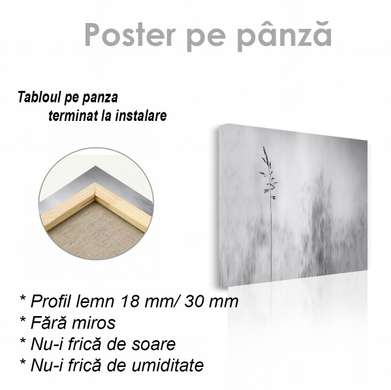 Poster - Natura cenușie, 40 x 40 см, Panza pe cadru
