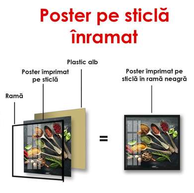 Poster - Various spices, 100 x 100 см, Framed poster on glass, Food and Drinks