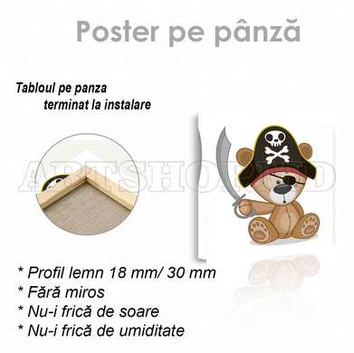 Poster - Pirat ursuleț de pluș, 100 x 100 см, Poster inramat pe sticla, Pentru Copii
