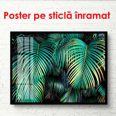 Постер - Пальмовые листья в тропиках, 90 x 60 см, Постер в раме, Ботаника