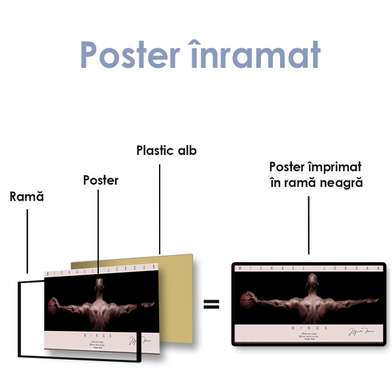 Poster - Aripi, 90 x 30 см, Panza pe cadru
