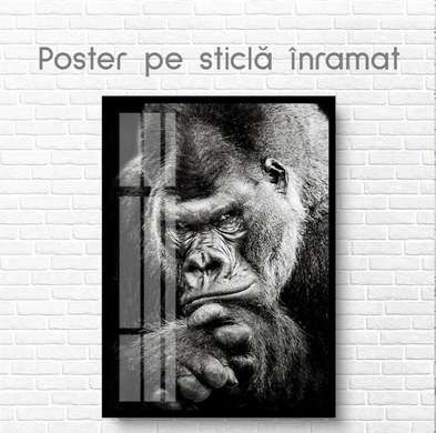 Poster, Gorilă alb-negru, 30 x 45 см, Panza pe cadru