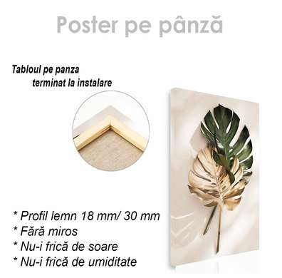 Poster - Monstera leaves, 30 x 45 см, Canvas on frame, Botanical