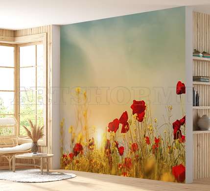 Wall mural - Poppy flowers on the background of the sunset