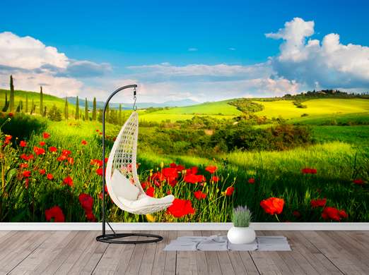 Wall Mural - Poppies in a green background