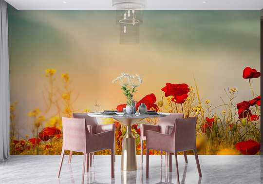 Wall mural - Poppy flowers on the background of the sunset