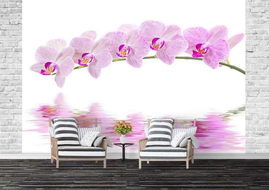 Wall Mural - Reflection of orchids