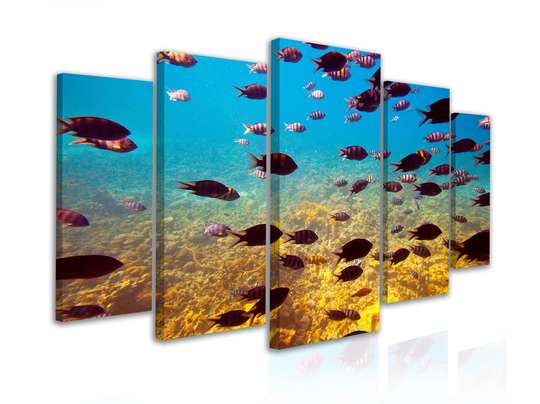 Modular picture, Fish under water, 108 х 60