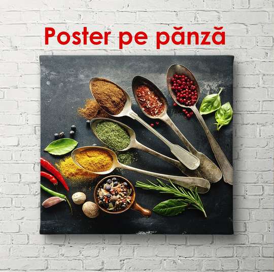 Poster - Various spices, 40 x 40 см, Canvas on frame
