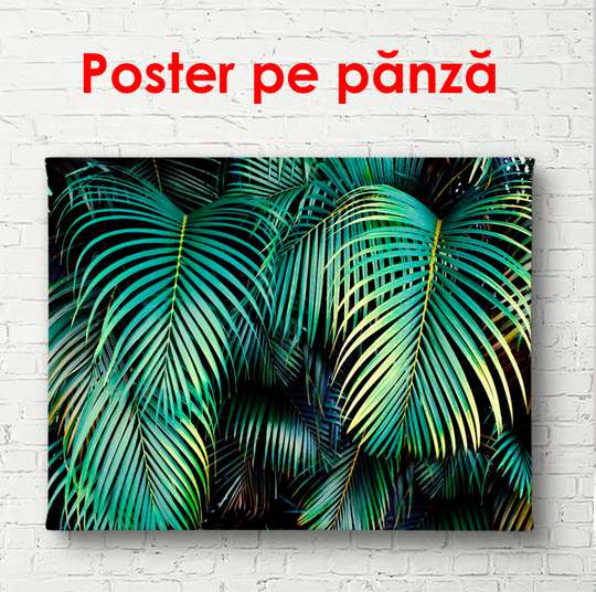 Постер - Пальмовые листья в тропиках, 90 x 60 см, Постер в раме