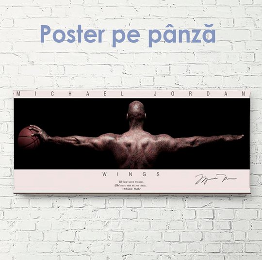 Poster, Aripi, 90 x 30 см, Panza pe cadru
