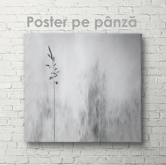 Poster, Natura cenușie, 40 x 40 см, Panza pe cadru