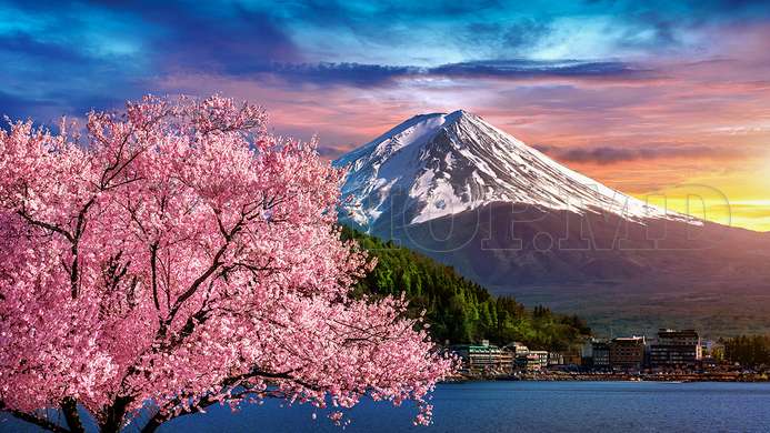 Modular picture, The mountain and pink sakura, 206 x 115