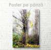 Poster - Autumn tree, 60 x 90 см, Framed poster on glass