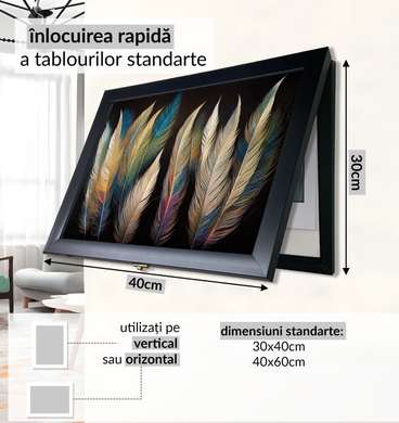 Multifunctional Wall Art - Colorful Feathers, 40x60cm, Black Frame