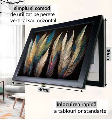 Мультифункциональная Картина - Разноцветные перья, 40x60cm, Черная Рама