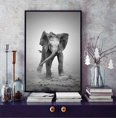 Постер - Маленький слоненок, 30 x 60 см, Холст на подрамнике, Черно Белые