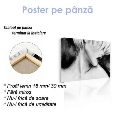 Poster - Graphic image of a girl, 45 x 30 см, Canvas on frame, Black & White