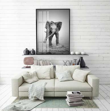 Poster - Little elephant, 30 x 60 см, Canvas on frame, Black & White