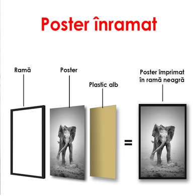Poster - Little elephant, 30 x 60 см, Canvas on frame, Black & White