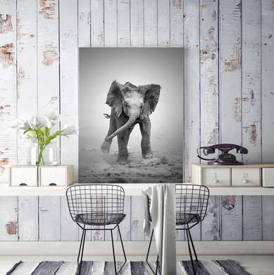 Poster - Micul elefant, 30 x 60 см, Panza pe cadru, Alb Negru