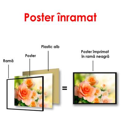 Постер - Куст оранжевых роз, 90 x 60 см, Постер в раме, Цветы