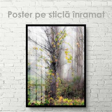 Poster - Autumn tree, 60 x 90 см, Framed poster on glass