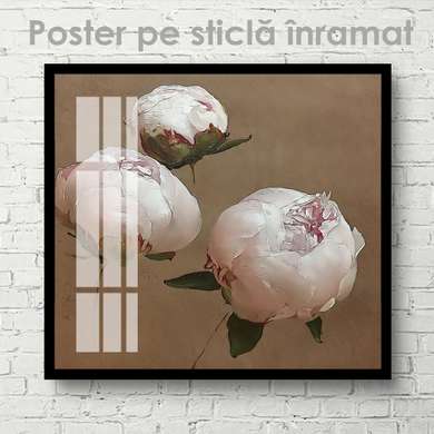 Постер - Пудровые пионы, 40 x 40 см, Холст на подрамнике, Цветы