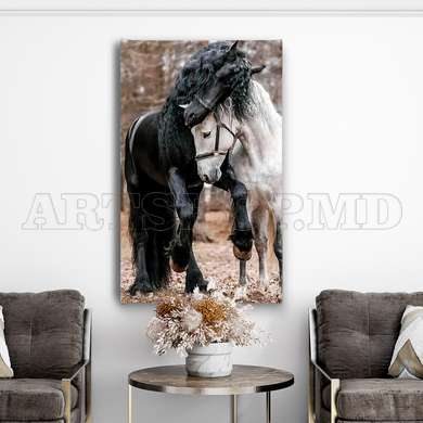 Poster - The graceful horses, 45 x 90 см, Framed poster on glass, Animals